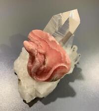 Rhodochrosite (carving) perched lizard healing crystal picture