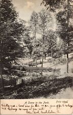 Philadelphia PA A Scene in the Park Early Old 1900s UDB Postcard View Sent 1906 picture