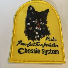 Chessie System Railway Railroad train Patch 3” X 2.75” Never Used B&O C&O picture