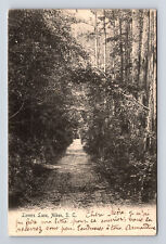1905 ROTOGRAPH Aiken SC View of Lover's Lane Posted to Paris France Postcard picture