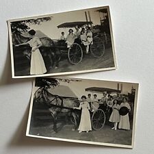 Antique B&W Snapshot Photograph Beautiful Woman Horse Drawn Wagon Children picture