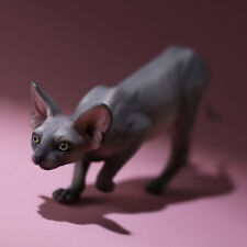 MR.Z 1/6th Canadian Hairless Cat 005 Sphynx Animal Model Cute Resin GK New Stock picture
