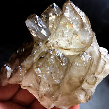 221g 1PC Diamond Grade Super FENSTER Skeletal SMOKY Quartz Crystal Point  d634 picture