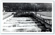 c1950's Fish Ladder Bonneville Dam Oregon OR Sawyers RPPC Photo Vintage Postcard picture