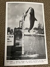 RPPC Vinatge Postcard “Buttons” Dolphin World Champ Theater Of The Sea Miami FL picture