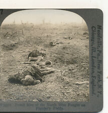 Battlefield of Many Dead Solders Flanders Field Belgium WWI Stereoview c1917 picture