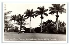 Postcard Lawn & Royal Palms, Dania Beach Hotel Florida FL RPPC J1 picture