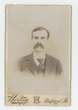 Antique Circa 1880s Cabinet Card Handsome Man Large Mustache Pen Argyl, PA picture