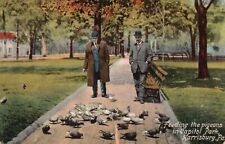 Postcard PA Harrisburg Feeding Pigeons in Capitol Park 1909 Vintage PC f9941 picture