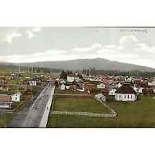 Tillamook Oregon Postcard Lithograph City Town View 1909 Pmk picture