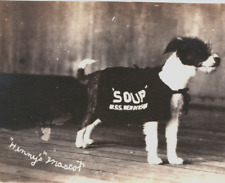 USS Henderson Navy Ship Mascot Dog Terrier WWI World War 1 RPPC Postcard picture