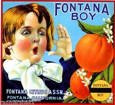 Fontana San Bernardino County Fontana Boy Orange Citrus Fruit Crate Label Print picture