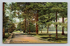 DB Postcard Memphis TN Tennessee National Cemetery Driveway Headstones picture