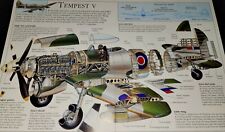 UNIQUE ~ Tempest V Airplane Illustrated Collectible Aircraft Print Picture picture