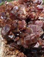 Large Mineral Specimen- Natural 3.7” Dark Red Vanadinite Crystals In Matrix picture