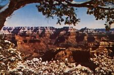 Grand Canyon National Park Landscape AZ Postcard Posted 1953 picture