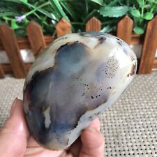 178g. Natural Polished Aquatic Plants Agate Crystal Madagascar Mh1030 picture