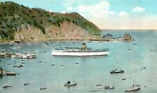 C.1920's Steamer, Bay View, Catalina Island, Calif. Postcard F82 picture