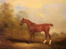 Art Oil painting John-Ferneley-Snr-Cecil-a-favorite-Hunter-of-the-Earl-of picture