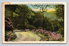 1945 Postcard Junglebrook KY Kentucky Fire Trail to Orchard Smoky Mountains Park picture