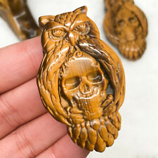 2'' Natural Tger's eye Quartz Hand Carved Owl Skull Crystal Reiki healing 1PC picture