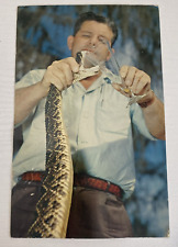 Postcard Florida's Silver Springs Reptiles - Man Milking Snake picture