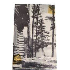Postcard Brainerd Minnesota Woods Cabin Trees Lake Vintage Unposted picture