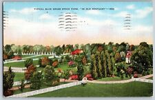 Kentucky KY - Typical Blue Grass Stock Farm - Vintage Postcards - Posted picture