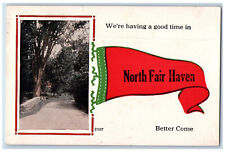 1914 Were Having A Good Time in North Fair Haven New York NY Postcard picture