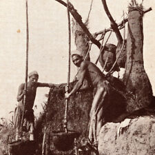 Vintage 1900s Luxor Shadouf On Nile Men Postcard Shadoof Shaduf Water Irrigation picture