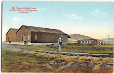 Burr Bros. Packing House ORANGEHURST, CA Orange County 1910s Vintage Postcard picture