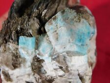 BLUE Amazonite Crystals with Smoky Quartz Zinnwaldite and Albite Colorado 345gr picture