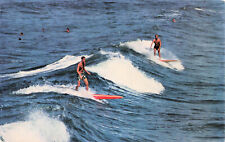 Surfing in San Diego 1971 D-253 Western   Postcard picture