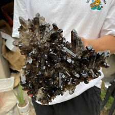 4lb Large Natural  Smoky Black Quartz Crystal Cluster Raw Mineral Specimen picture