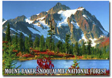 Mount Baker Snoqualmie National Forest Refrigerator Magnets Size 2.5