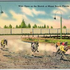 c1940s Miami, FL Greyhound Dog Race Track Linen Photo Keystone Tichnor Fla. A210 picture