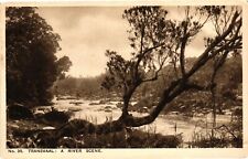 Vintage Postcard- No 35. Transvaal: A River Scene. Unposted 1920 picture