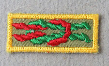 BSA James E. West Fellowship Award Adult Square Knot RED Bdr (MA705) picture