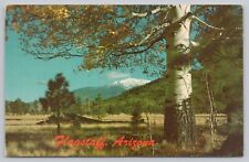 Postcard San Francisco Peaks Flagstaff Arizona, Posted 1966 picture