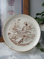 Decorate Collector's Plate Radium Hot Springs British Columbia AALCO Souvenirs picture