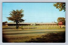 Youngstown OH-Ohio, Town House Motel, Route 7, Advertising, Vintage Postcard picture
