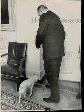 1967 Press Photo President Lyndon Johnson greets newest White House pet, Yuki picture