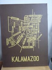 Kalamazoo, Michigan Street Map 24 x 18 picture