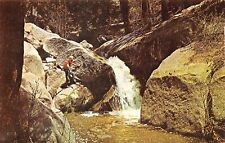 Postcard CA Idyllwild Dark Canyon Creek California picture