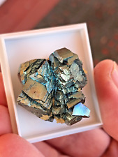 Arsenopyrite, iridescent, Yaogangxian mine, China picture