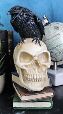 Raven Crow Perching On Skull With Ancient Spell Books Of Prophecy Figurine picture