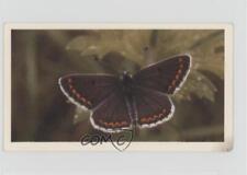 1983 Doncella British Butterflies Tobacco Brown Argus #20 1i3 picture