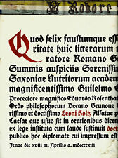 1913 Large Graduation Parchment Latin Calligraphy Varsity Jena Thuringia Holtz picture
