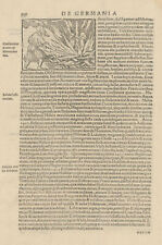 Jan Hus & Jerome of Prague burned at the stake 1416. SEBASTIAN M�NSTER 1572 picture