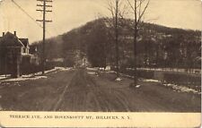 HOVENKOFFT MTN, TERRACE AVE antique postcard HILLBURN NEW YORK NY c1910 street picture